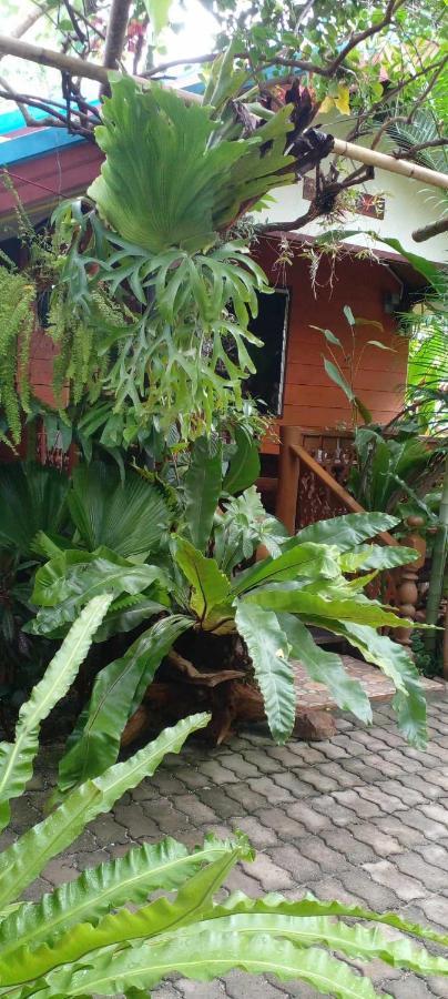 Ouychai Resort Home Stay Chiang Mai Exterior photo